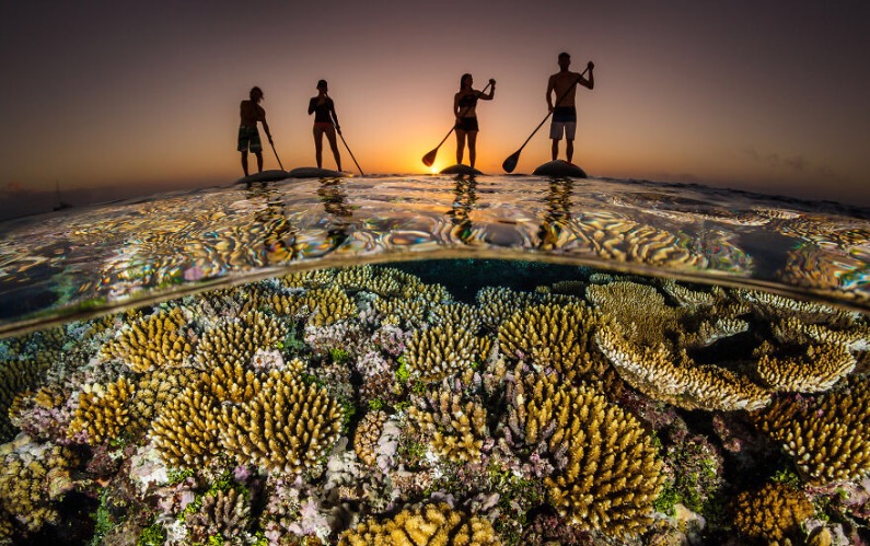 Paddle boarders float above a reef at sunset. Photo credit: Grant Thomas | image tagged in awesome,pics,photography | made w/ Imgflip meme maker