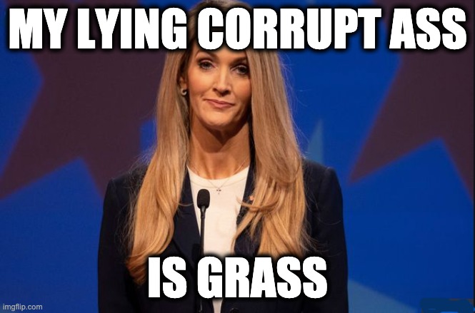 MY LYING CORRUPT ASS; IS GRASS | image tagged in memes,corruption,gop,liar,insider trading,republican | made w/ Imgflip meme maker
