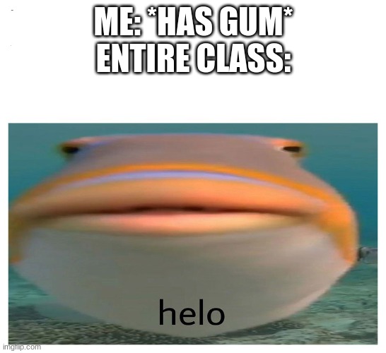 helo fish | ME: *HAS GUM*
ENTIRE CLASS: | image tagged in helo fish | made w/ Imgflip meme maker