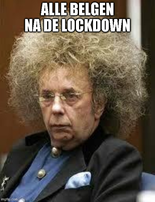 Frizzy hair | ALLE BELGEN NA DE LOCKDOWN | image tagged in frizzy hair,Belgium2 | made w/ Imgflip meme maker