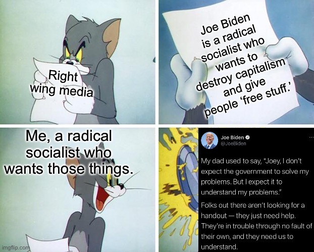 Joe Biden sucks | Joe Biden is a radical socialist who wants to destroy capitalism and give people ‘free stuff.’; Right wing media; Me, a radical socialist who wants those things. | image tagged in tom pie in the face,joe biden,election 2020,socialism,capitalism,healthcare | made w/ Imgflip meme maker