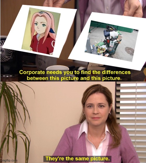 They're The Same Picture | image tagged in memes,they're the same picture | made w/ Imgflip meme maker