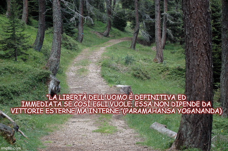 “LA LIBERTÀ DELL'UOMO È DEFINITIVA ED IMMEDIATA SE COSÌ EGLI VUOLE; ESSA NON DIPENDE DA VITTORIE ESTERNE MA INTERNE.”(PARAMAHANSA YOGANANDA) | made w/ Imgflip meme maker