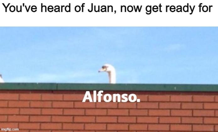 Alfonso. | You've heard of Juan, now get ready for | image tagged in funny memes,juan | made w/ Imgflip meme maker