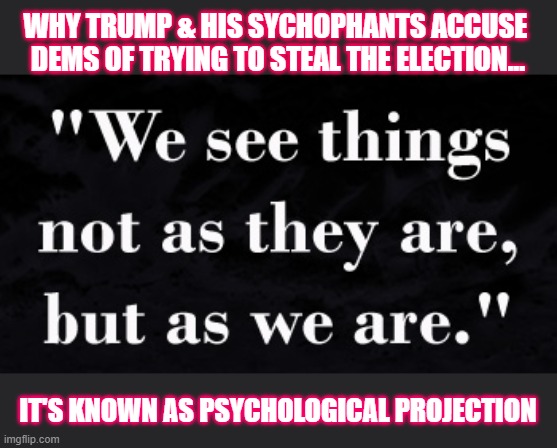 Trump's current scam is recognized globally for what it is.  H.M. Tomlinson said it best almost 100 years ago. | WHY TRUMP & HIS SYCHOPHANTS ACCUSE 
DEMS OF TRYING TO STEAL THE ELECTION... IT'S KNOWN AS PSYCHOLOGICAL PROJECTION | image tagged in trump,election 2020,voter fraud,loser,gop scammers | made w/ Imgflip meme maker