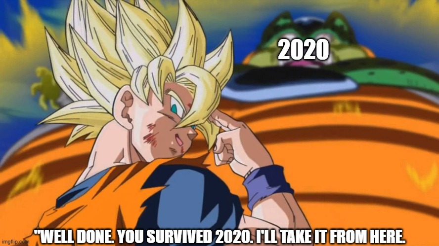 Goku sacrificing himself | 2020; "WELL DONE. YOU SURVIVED 2020. I'LL TAKE IT FROM HERE. | image tagged in goku sacrificing himself | made w/ Imgflip meme maker