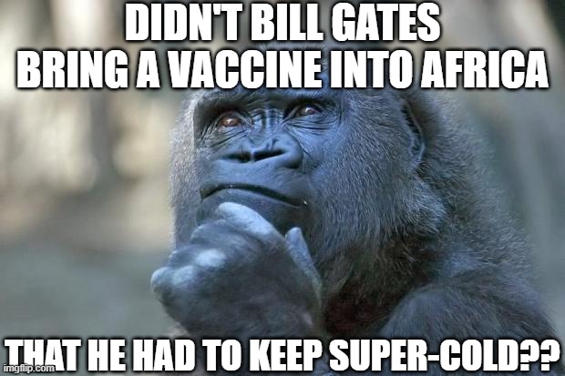 that is the question | DIDN'T BILL GATES BRING A VACCINE INTO AFRICA; THAT HE HAD TO KEEP SUPER-COLD?? | image tagged in that is the question | made w/ Imgflip meme maker