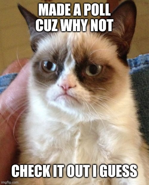 Grumpy Cat Meme | MADE A POLL CUZ WHY NOT; CHECK IT OUT I GUESS | image tagged in memes,grumpy cat | made w/ Imgflip meme maker