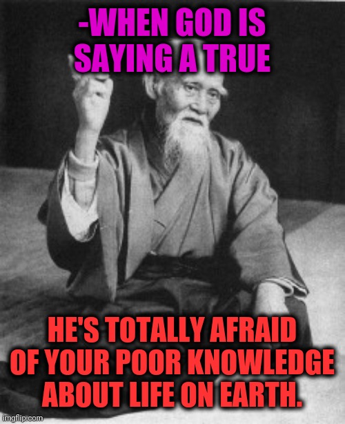 -Wisdom which soon is celebrate a second thousand. | -WHEN GOD IS SAYING A TRUE; HE'S TOTALLY AFRAID OF YOUR POOR KNOWLEDGE ABOUT LIFE ON EARTH. | image tagged in aikido master,words of wisdom,oh god why,storytelling grandpa,extreme sports,philosophy dinosaur | made w/ Imgflip meme maker