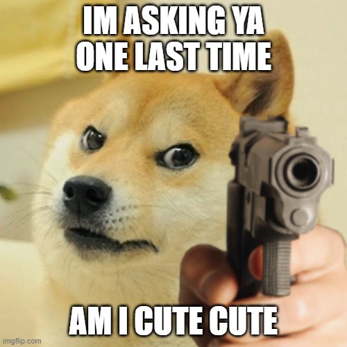 Is he cute | IM ASKING YA ONE LAST TIME; AM I CUTE CUTE | image tagged in doge holding a gun | made w/ Imgflip meme maker