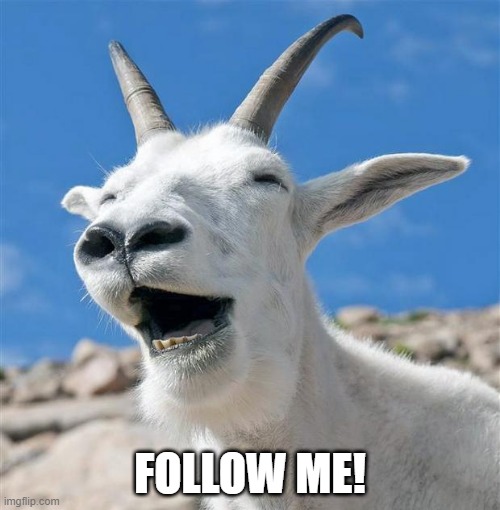 Judas Goat |  FOLLOW ME! | image tagged in memes,laughing goat,judas goat,discworld,feet of clay,yudas goat | made w/ Imgflip meme maker