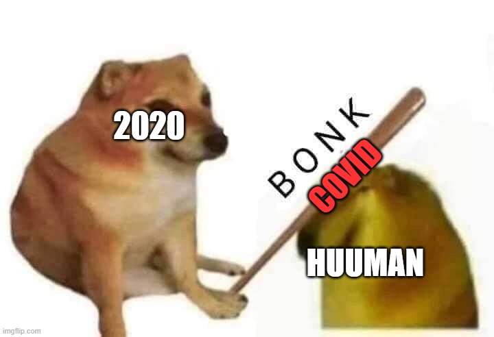 2020 sucks | 2020; COVID; HUUMAN | image tagged in doge bonk | made w/ Imgflip meme maker
