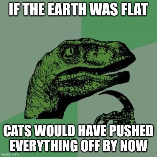 To all the flat earth-ers | IF THE EARTH WAS FLAT; CATS WOULD HAVE PUSHED EVERYTHING OFF BY NOW | image tagged in memes,philosoraptor,flat earthers | made w/ Imgflip meme maker