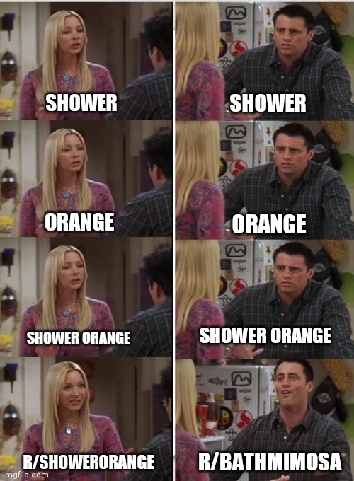 joey and phebe misconception | SHOWER; SHOWER; ORANGE; ORANGE; SHOWER ORANGE; SHOWER ORANGE; R/BATHMIMOSA; R/SHOWERORANGE | image tagged in joey and phebe misconception | made w/ Imgflip meme maker