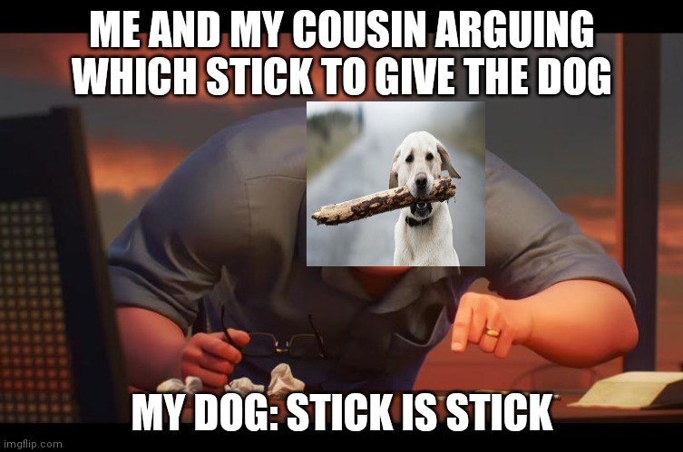 Math is Math! | ME AND MY COUSIN ARGUING WHICH STICK TO GIVE THE DOG; MY DOG: STICK IS STICK | image tagged in math is math | made w/ Imgflip meme maker