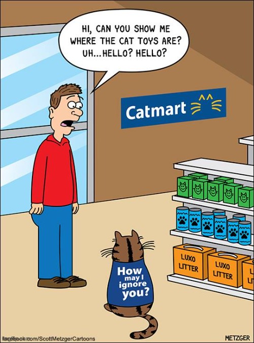 Welcome to CatMart! | image tagged in memes,funny,cats,pandaboyplaysyt,walmart,welcome to walmart | made w/ Imgflip meme maker