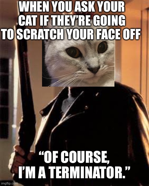 Terrible cat | WHEN YOU ASK YOUR CAT IF THEY’RE GOING TO SCRATCH YOUR FACE OFF; “OF COURSE, I’M A TERMINATOR.” | image tagged in terminator1 | made w/ Imgflip meme maker