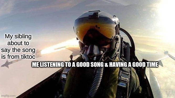 Fighter pilot missile danish f-16 | My sibling about to say the song is from tiktoc; ME LISTENING TO A GOOD SONG & HAVING A GOOD TIME | image tagged in fighter pilot missile danish f-16 | made w/ Imgflip meme maker