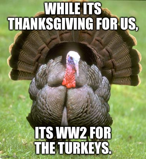 We All Dont Have The Same Calendars. | WHILE ITS THANKSGIVING FOR US, ITS WW2 FOR THE TURKEYS. | image tagged in memes,turkey | made w/ Imgflip meme maker