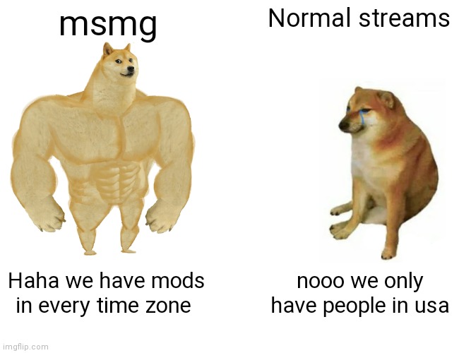 Buff Doge vs. Cheems | msmg; Normal streams; Haha we have mods in every time zone; nooo we only have people in usa | image tagged in memes,buff doge vs crying cheems | made w/ Imgflip meme maker