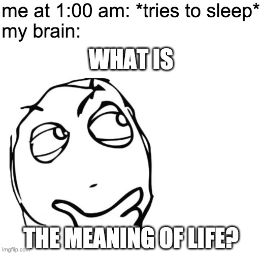 hmmm | me at 1:00 am: *tries to sleep*
my brain:; WHAT IS; THE MEANING OF LIFE? | image tagged in hmmm | made w/ Imgflip meme maker