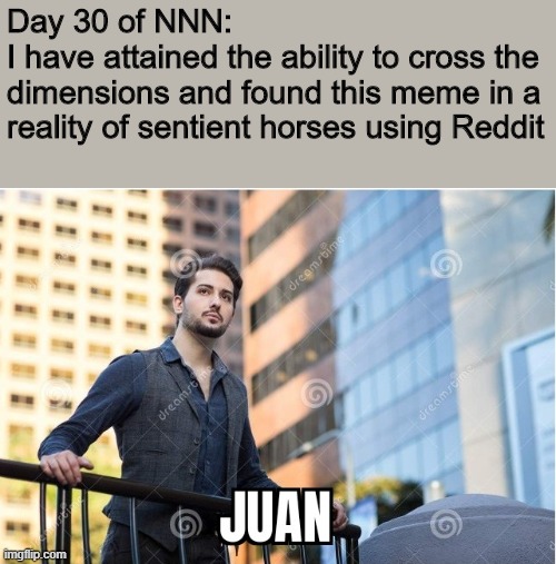 Day 30 of NNN:
I have attained the ability to cross the dimensions and found this meme in a reality of sentient horses using Reddit | image tagged in strange | made w/ Imgflip meme maker
