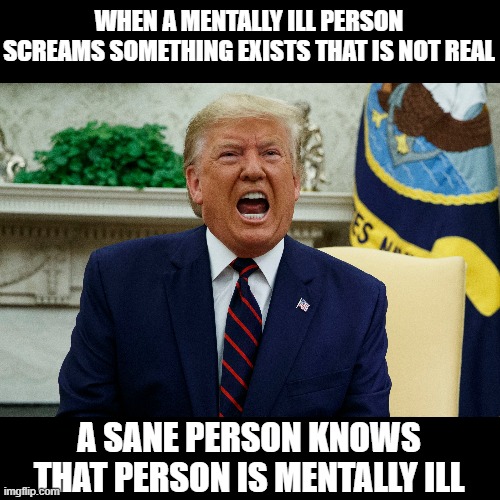 Stop Enabling the Delusions of a Psychopath | WHEN A MENTALLY ILL PERSON SCREAMS SOMETHING EXISTS THAT IS NOT REAL; A SANE PERSON KNOWS THAT PERSON IS MENTALLY ILL | image tagged in bat shit crazy,mentally ill,criminal,psychopath | made w/ Imgflip meme maker
