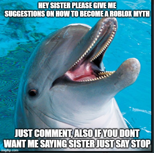 i need your help | HEY SISTER PLEASE GIVE ME SUGGESTIONS ON HOW TO BECOME A ROBLOX MYTH; JUST COMMENT, ALSO IF YOU DONT WANT ME SAYING SISTER JUST SAY STOP | image tagged in derpy dolphin | made w/ Imgflip meme maker