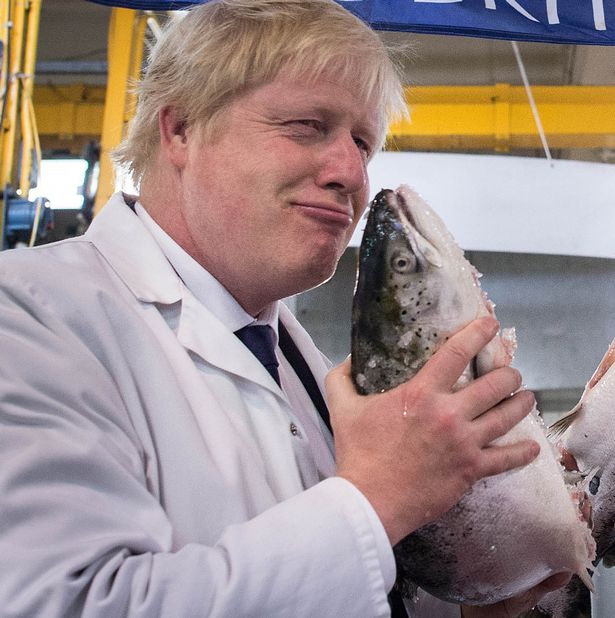 High Quality Boris fish Blank Meme Template