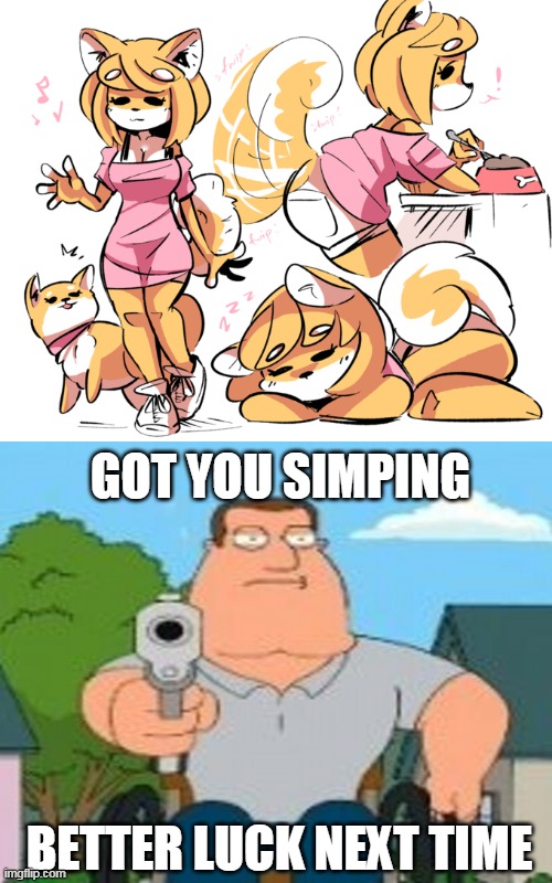 Don't you dare simp a furry | GOT YOU SIMPING; BETTER LUCK NEXT TIME | image tagged in furry,family guy,memes | made w/ Imgflip meme maker