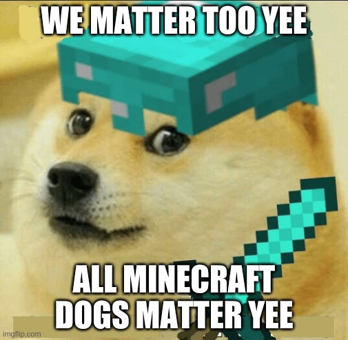 Minecraft Doge | WE MATTER TOO YEE; ALL MINECRAFT DOGS MATTER YEE | image tagged in minecraft doge | made w/ Imgflip meme maker