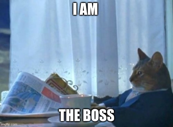 sdafa | I AM; THE BOSS | image tagged in memes,i should buy a boat cat | made w/ Imgflip meme maker