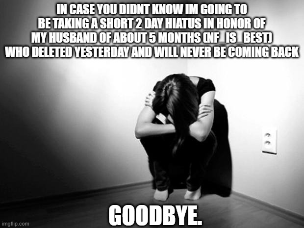goodbye forever my love....I will miss you... | IN CASE YOU DIDNT KNOW IM GOING TO BE TAKING A SHORT 2 DAY HIATUS IN HONOR OF MY HUSBAND OF ABOUT 5 MONTHS (NF_IS_BEST) WHO DELETED YESTERDAY AND WILL NEVER BE COMING BACK; GOODBYE. | image tagged in depression sadness hurt pain anxiety,goodbye,relationships,deleted accounts | made w/ Imgflip meme maker