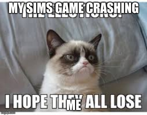 grumpy cat | MY SIMS GAME CRASHING; ME | image tagged in memes | made w/ Imgflip meme maker