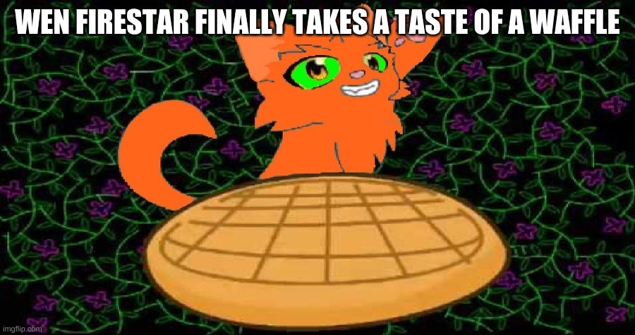 Wow he finally did it wow... | WEN FIRESTAR FINALLY TAKES A TASTE OF A WAFFLE | image tagged in firestar,cats,warrior cats,waffles,waffle time firestar | made w/ Imgflip meme maker