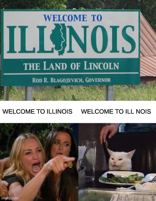 Welcome to Ill Nois | WELCOME TO ILLINOIS; WELCOME TO ILL NOIS | image tagged in memes,woman yelling at cat | made w/ Imgflip meme maker