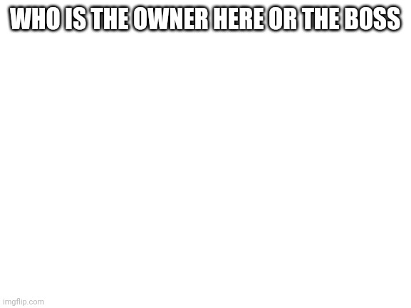 Blank White Template | WHO IS THE OWNER HERE OR THE BOSS | image tagged in blank white template | made w/ Imgflip meme maker