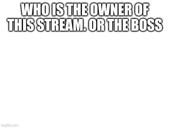 Blank White Template | WHO IS THE OWNER OF THIS STREAM. OR THE BOSS | image tagged in blank white template | made w/ Imgflip meme maker