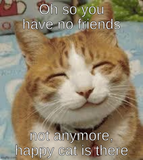 Happy cat is your friend | Oh so you have no friends; not anymore, happy cat is there | image tagged in happy cat | made w/ Imgflip meme maker