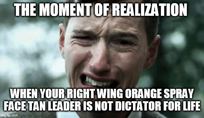 Democracy - The enemy of Trumpers | THE MOMENT OF REALIZATION; WHEN YOUR RIGHT WING ORANGE SPRAY FACE TAN LEADER IS NOT DICTATOR FOR LIFE | image tagged in donald trump,trump supporters,election 2020,republicans | made w/ Imgflip meme maker