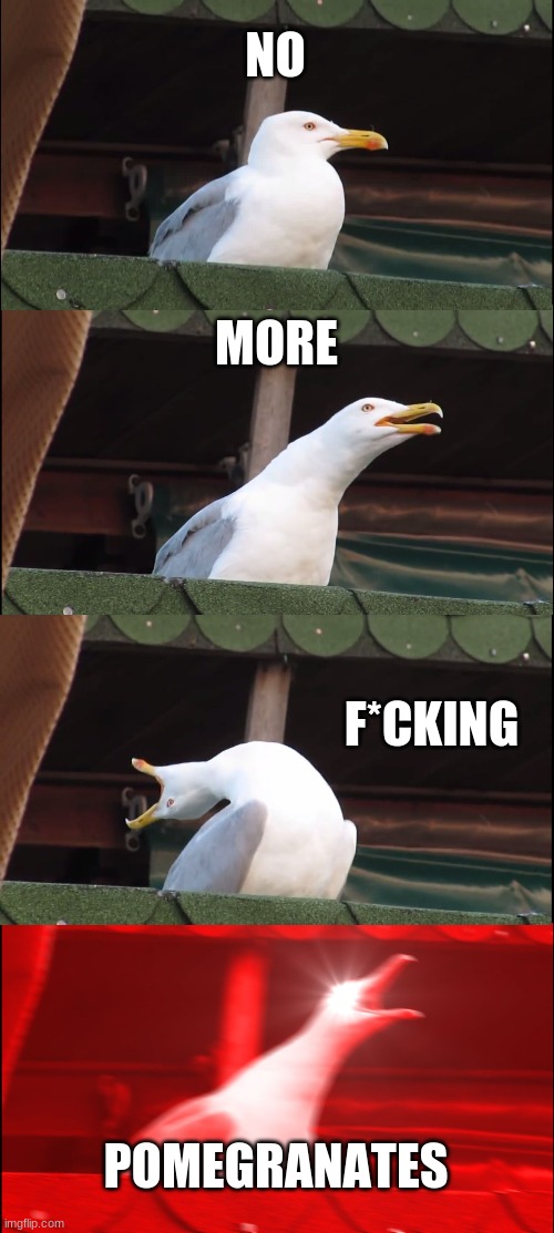 No more POMEGRANATES | NO; MORE; F*CKING; POMEGRANATES | image tagged in memes,inhaling seagull | made w/ Imgflip meme maker