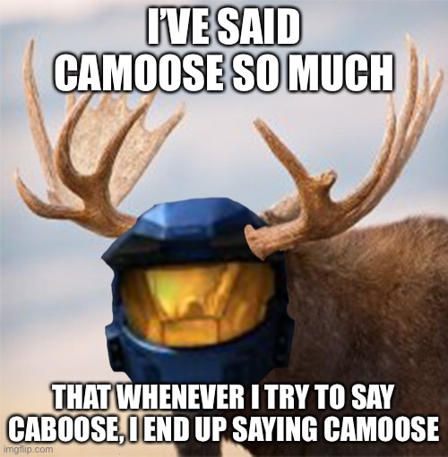 Camoose | I’VE SAID CAMOOSE SO MUCH; THAT WHENEVER I TRY TO SAY CABOOSE, I END UP SAYING CAMOOSE | image tagged in camoose,caboose | made w/ Imgflip meme maker