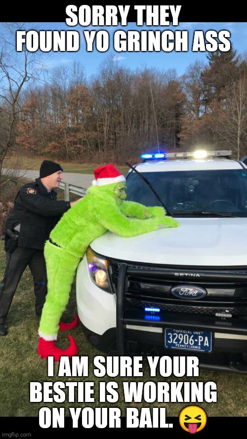 SORRY THEY FOUND YO GRINCH ASS; I AM SURE YOUR BESTIE IS WORKING ON YOUR BAIL. 😝 | image tagged in grinch | made w/ Imgflip meme maker