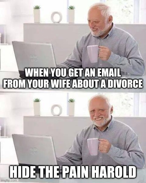 Hide the Pain Harold | WHEN YOU GET AN EMAIL FROM YOUR WIFE ABOUT A DIVORCE; HIDE THE PAIN HAROLD | image tagged in memes,hide the pain harold | made w/ Imgflip meme maker