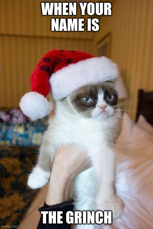 sdafa | WHEN YOUR NAME IS; THE GRINCH | image tagged in memes,grumpy cat christmas,grumpy cat | made w/ Imgflip meme maker
