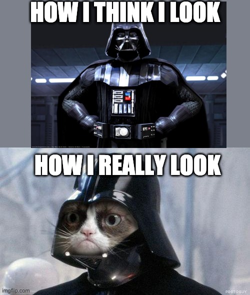 how I really look | HOW I THINK I LOOK; HOW I REALLY LOOK | image tagged in memes,grumpy cat star wars,grumpy cat,star wars | made w/ Imgflip meme maker