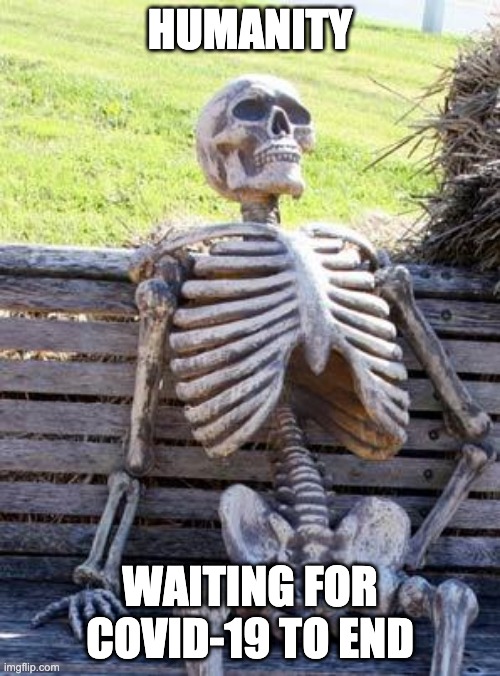 The world be like... | HUMANITY; WAITING FOR COVID-19 TO END | image tagged in memes,waiting skeleton | made w/ Imgflip meme maker