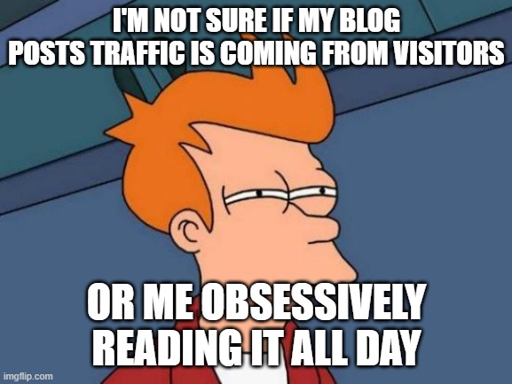 Futurama Fry | I'M NOT SURE IF MY BLOG POSTS TRAFFIC IS COMING FROM VISITORS; OR ME OBSESSIVELY READING IT ALL DAY | image tagged in memes,futurama fry | made w/ Imgflip meme maker