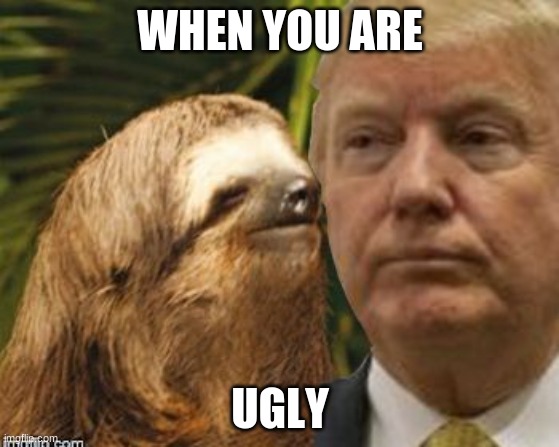 sdafa | WHEN YOU ARE; UGLY | image tagged in political advice sloth | made w/ Imgflip meme maker