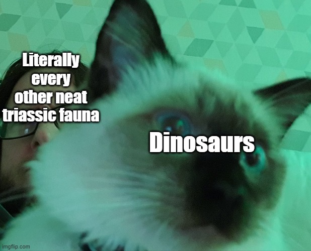 Darren Naish and Mochi | Dinosaurs; Literally every other neat triassic fauna | image tagged in darren naish and mochi,memes,cats,funny memes,palaeontology memes,dinosaurs | made w/ Imgflip meme maker